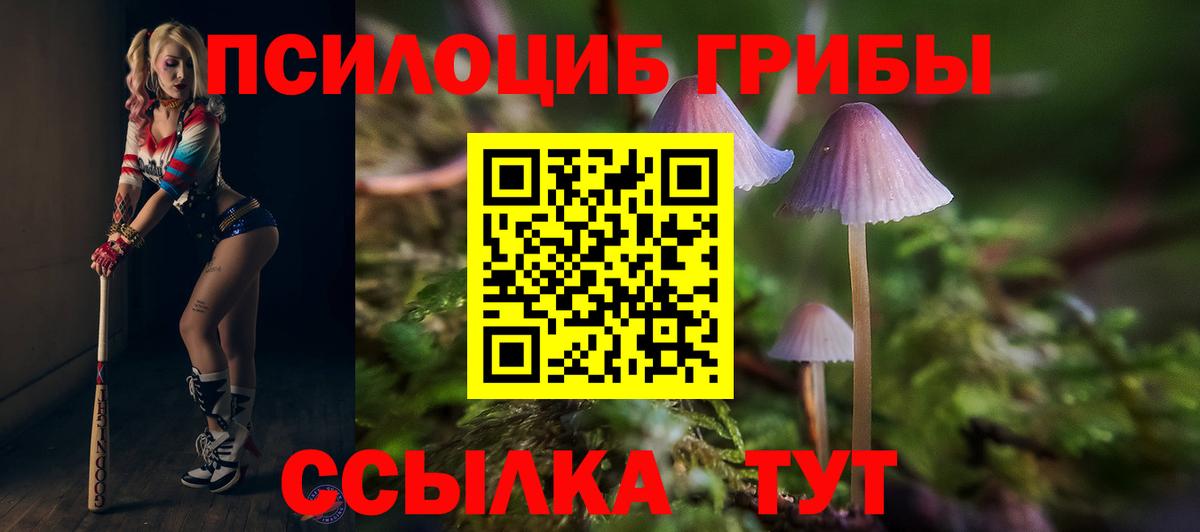 Галлюциногенные грибы GOLDEN TEACHER  Вход с VPN  Великий Новгород  Галлюциногенные грибы мицелий 